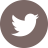 logo twitter novel