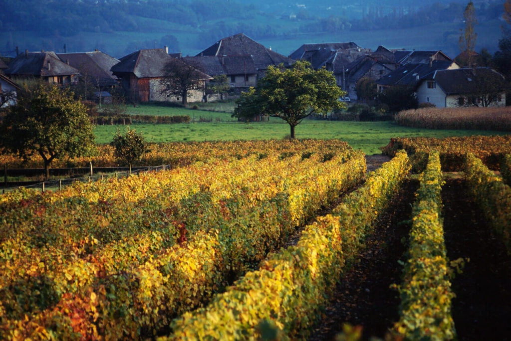 la route des vins de Haute-Savoie