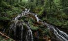 Cascade d’Angon à Annecy : une expérience à vivre au moins une fois dans sa vie !