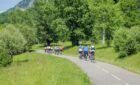 Escapade nature autour d’Annecy : pensez à la location de vélo